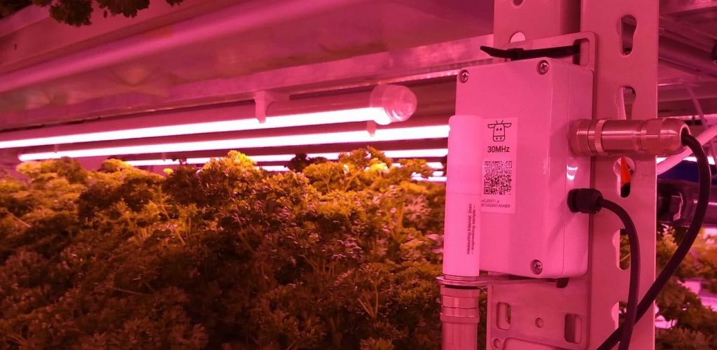 A CO2 sensor from 30MHz in LettUs Grows indoor vertical farm.
