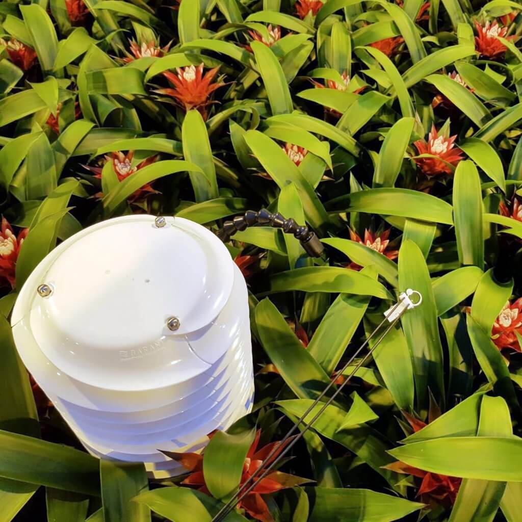 30MHz and Sendot sensors measuring plants.