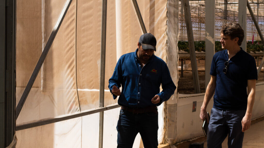 Two people walking in Greenhouse Mexico