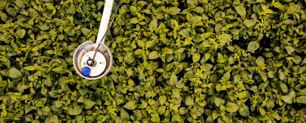Light sensor in field