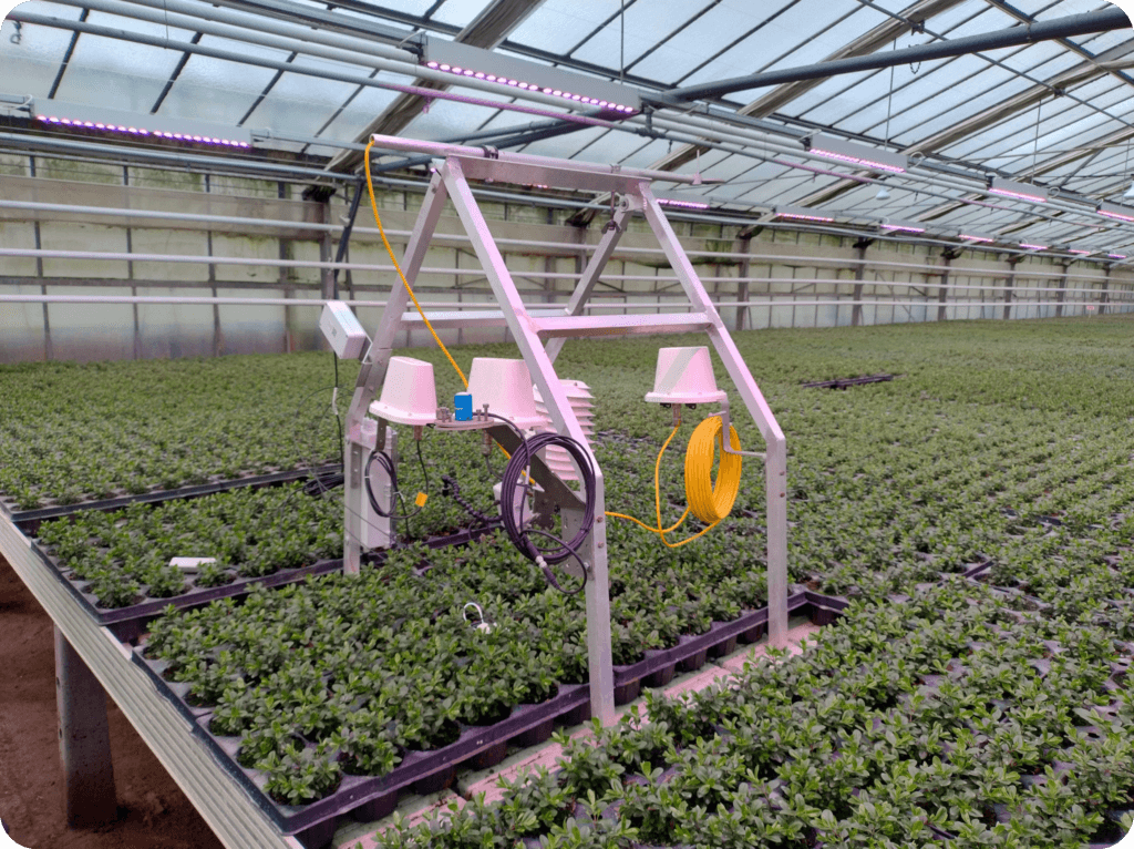 Construction in Aflora's Greenhouse that contains the wireless 30MHz sensors